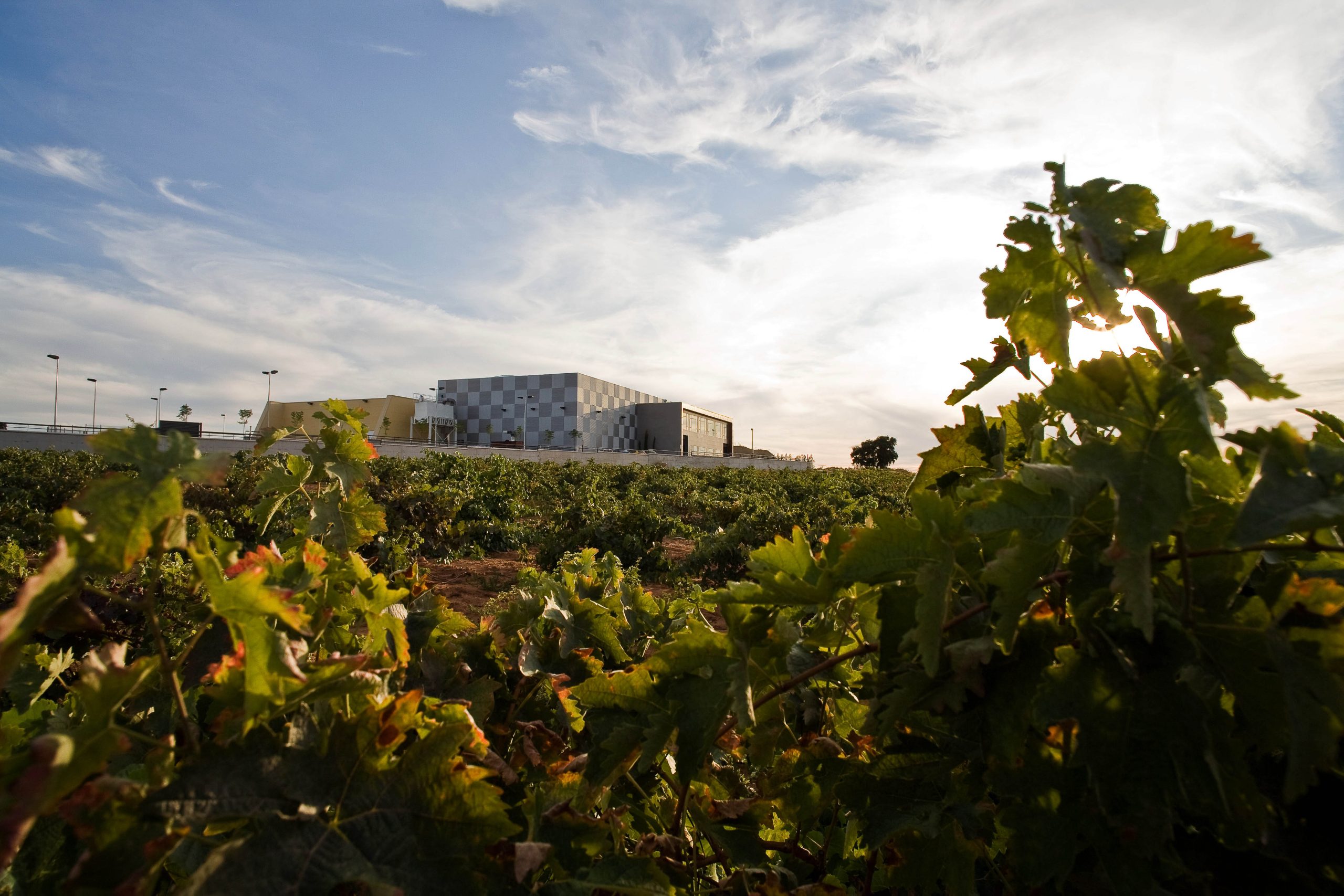 mano mano winery